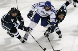 亚洲杯最新形势：北京首钢高居榜首，利雅得新月强势追赶，冠军归属成迷的简单介绍